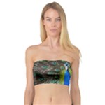 Peacock Bird Feathers Pheasant Nature Animal Texture Pattern Bandeau Top