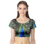 Peacock Bird Feathers Pheasant Nature Animal Texture Pattern Short Sleeve Crop Top