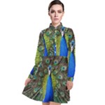 Peacock Bird Feathers Pheasant Nature Animal Texture Pattern Long Sleeve Chiffon Shirt Dress