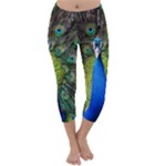 Peacock Bird Feathers Pheasant Nature Animal Texture Pattern Capri Winter Leggings 