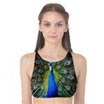 Peacock Bird Feathers Pheasant Nature Animal Texture Pattern Tank Bikini Top