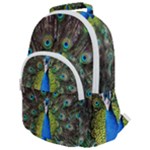 Peacock Bird Feathers Pheasant Nature Animal Texture Pattern Rounded Multi Pocket Backpack