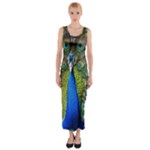 Peacock Bird Feathers Pheasant Nature Animal Texture Pattern Fitted Maxi Dress