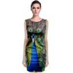 Peacock Bird Feathers Pheasant Nature Animal Texture Pattern Classic Sleeveless Midi Dress