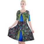 Peacock Bird Feathers Pheasant Nature Animal Texture Pattern Quarter Sleeve A-Line Dress