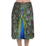 Peacock Bird Feathers Pheasant Nature Animal Texture Pattern Velvet Flared Midi Skirt