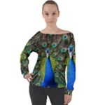 Peacock Bird Feathers Pheasant Nature Animal Texture Pattern Off Shoulder Long Sleeve Velour Top