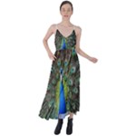 Peacock Bird Feathers Pheasant Nature Animal Texture Pattern Tie Back Maxi Dress