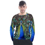 Peacock Bird Feathers Pheasant Nature Animal Texture Pattern Men s Long Sleeve Raglan T-Shirt