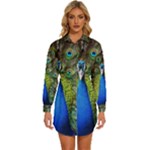 Peacock Bird Feathers Pheasant Nature Animal Texture Pattern Womens Long Sleeve Shirt Dress