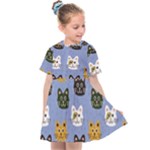 Cat Cat Background Animals Little Cat Pets Kittens Kids  Sailor Dress