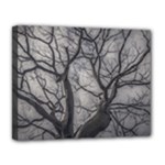 Landscape forest ceiba tree, guayaquil, ecuador Canvas 14  x 11  (Stretched)