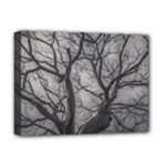 Landscape forest ceiba tree, guayaquil, ecuador Deluxe Canvas 16  x 12  (Stretched) 