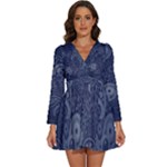 Blue Paisley Texture, Blue Paisley Ornament Long Sleeve V-Neck Chiffon Dress 