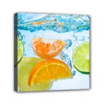 Fruits, Fruit, Lemon, Lime, Mandarin, Water, Orange Mini Canvas 6  x 6  (Stretched)