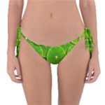 Lime Textures Macro, Tropical Fruits, Citrus Fruits, Green Lemon Texture Reversible Bikini Bottoms