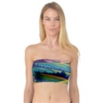 Field Valley Nature Meadows Flowers Dawn Landscape Bandeau Top