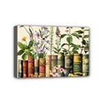 Books Flowers Book Flower Flora Floral Mini Canvas 6  x 4  (Stretched)