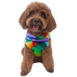 bring colors to your day Dog Sweater