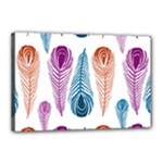Pen Peacock Colors Colored Pattern Canvas 18  x 12  (Stretched)