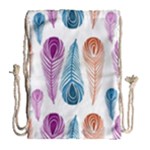 Pen Peacock Colors Colored Pattern Drawstring Bag (Large)