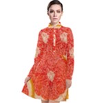 Grapefruit-fruit-background-food Long Sleeve Chiffon Shirt Dress