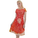 Grapefruit-fruit-background-food Classic Short Sleeve Dress