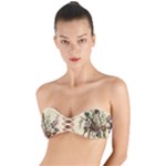 Vintage-antique-plate-china Twist Bandeau Bikini Top