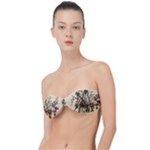 Vintage-antique-plate-china Classic Bandeau Bikini Top 