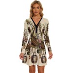 Vintage-antique-plate-china Long Sleeve Deep V Mini Dress 