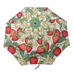 Strawberry-fruits Folding Umbrellas