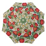 Strawberry-fruits Straight Umbrellas