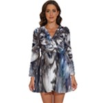 Woman in Space Long Sleeve V-Neck Chiffon Dress 