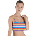 Stripes Pattern Design Lines Layered Top Bikini Top 