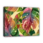 Monstera Colorful Leaves Foliage Deluxe Canvas 20  x 16  (Stretched)