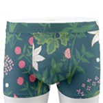 Spring small flowers Men s Boxer Briefs