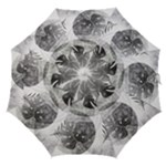 Vintage Retro Boho Background Leaves Botanical Straight Umbrellas