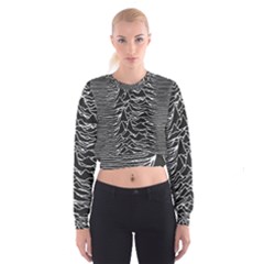 Cropped Sweatshirt 