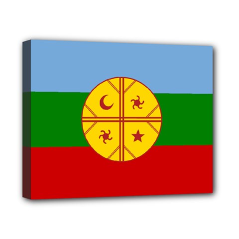 Flag Of The Mapuches Canvas 10  x 8  (Stretched) from ArtsNow.com
