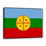 Flag Of The Mapuches Canvas 16  x 12  (Stretched)