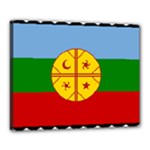 Flag Of The Mapuches Canvas 20  x 16  (Stretched)