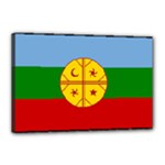Flag Of The Mapuches Canvas 18  x 12  (Stretched)