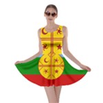Flag Of The Mapuches Skater Dress