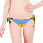 Flag Of The Mapuches Bikini Bottoms