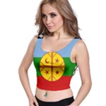 Flag Of The Mapuches Crop Top