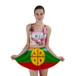 Flag Of The Mapuches Mini Skirt