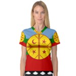 Flag Of The Mapuches V-Neck Sport Mesh T-Shirt