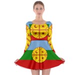 Flag Of The Mapuches Long Sleeve Skater Dress