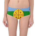 Flag Of The Mapuches Mid-Waist Bikini Bottoms