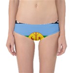 Flag Of The Mapuches Classic Bikini Bottoms